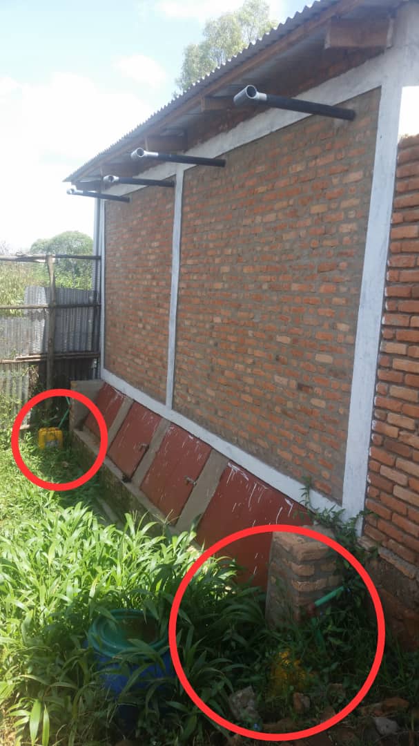 IMG 20190207 WA0014